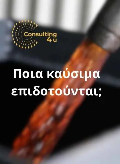 Εικόνα που αφορά άρθρο με θέμα το επίδομα θέρμανσης 2025-2026 και ποια καύσιμα επιδοτούνται
